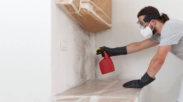 Professional Mold Removal technician working in Hasbrouck Heights, NJ