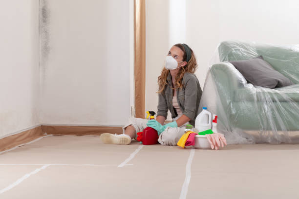 Reliable Mold Removal contractor in Hasbrouck Heights, NJ by WQB Mold Removal